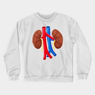 human Kidney anatomy Crewneck Sweatshirt